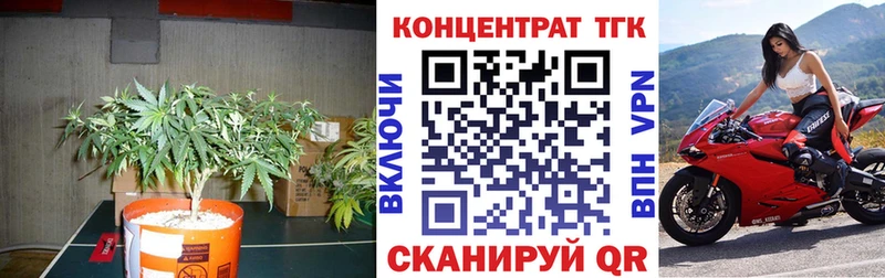мега зеркало  даркнет сайт  Горбатов  ТГК Wax 